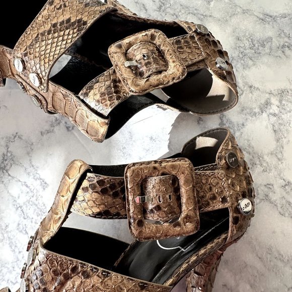 Roger Vivier Brown Snakeskin Buckle Heels - Picture 8 of 15